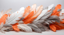 Design Studio 3D Feathers AG-FT-013