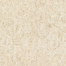 Rasch Curiosity 538328