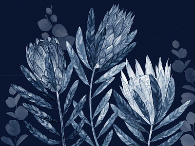 Фотообои Herbarium 20, HERBARIUM, Wall street