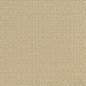 W05 50406