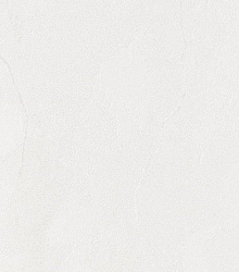 Бежевые обои для стен Bernardo Bartalucci Gaga  84284-17