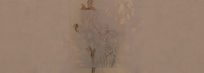 Фотообои EVIGILATIO 5, FLORA, Factura Фотообои EVIGILATIO 5, FLORA, Factura