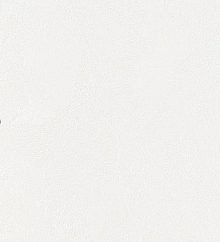 Бежевые обои для стен Bernardo Bartalucci Gaga  84284-4