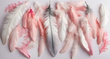 Design Studio 3D Feathers AG-FT-009